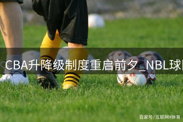 CBA升降级制度重启前夕 NBL球队掀起球员争夺战